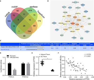 Corrigendum: Gastric Cancer Cell-Derived Exosomal MicroRNA-23a Promotes Angiogenesis by Targeting PTEN